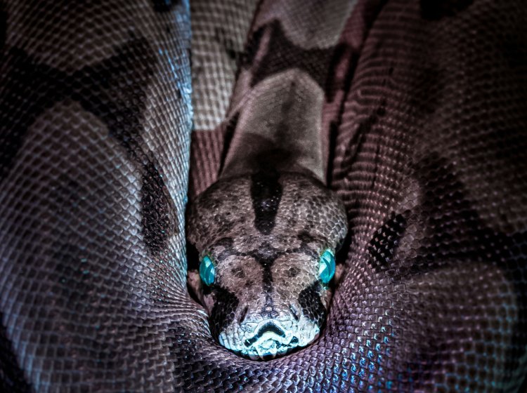 jan_kopriva_unsplash